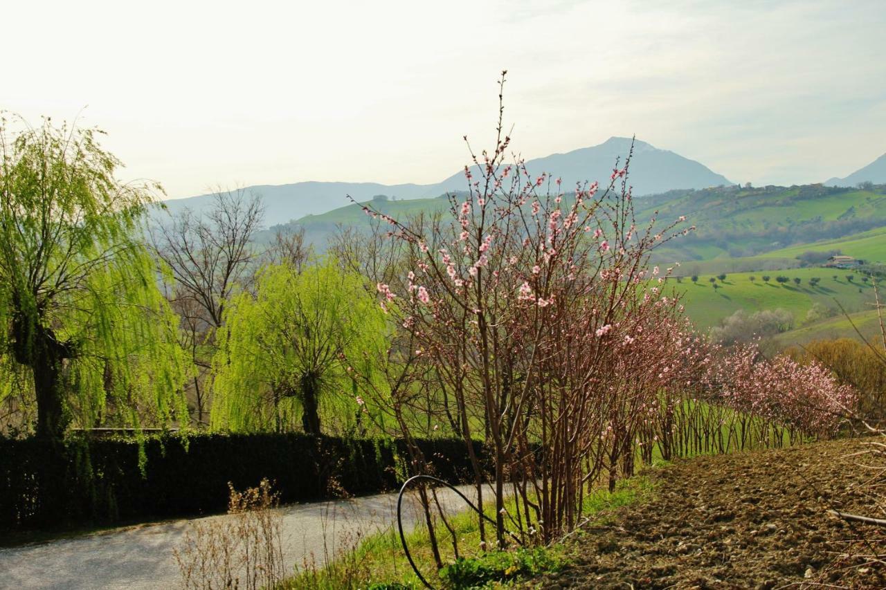 Casa Di Campagna Villa De Luca Bellante Экстерьер фото